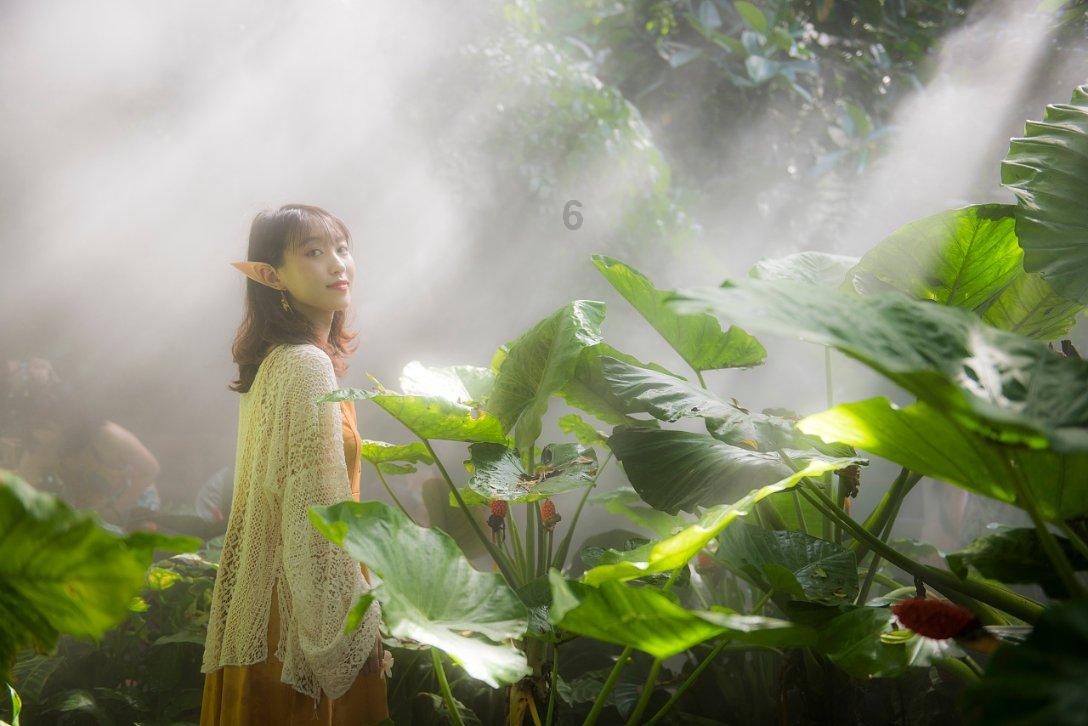 消除彩色点